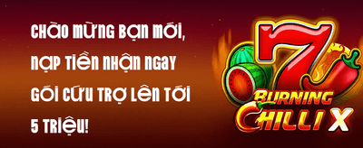 Hoàn Trả VIP Không Giới Hạn promotion